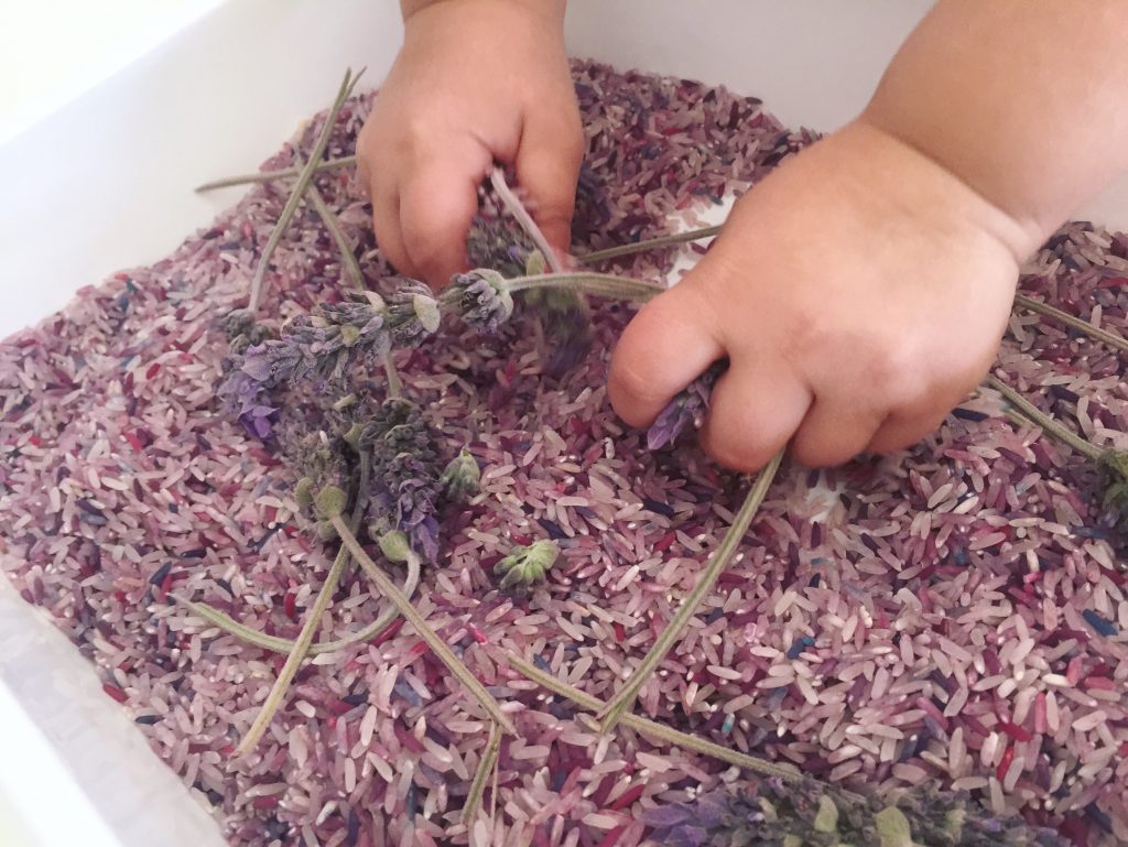 arroz sensorial actividad en color morado para infantil